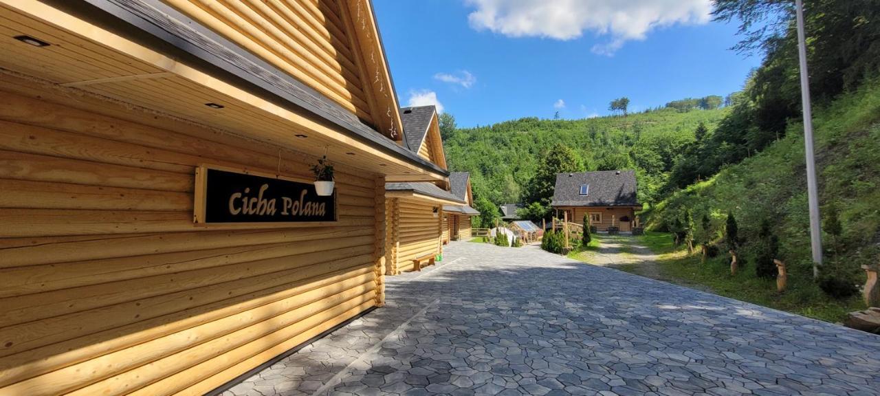 Cicha Polana Villa Szczyrk Exterior photo